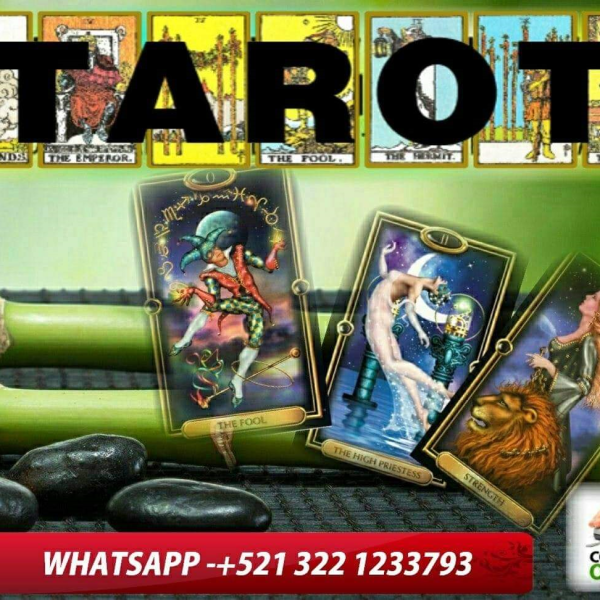 tarot con Adalberto Barrera